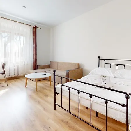 Roomspoznan Pl - Ogrodowa 9 - 24H Self Check-In Zewnętrze zdjęcie